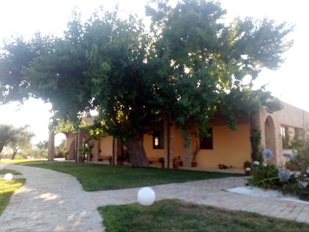Agriturismo Piccolo Albero Loreto Aprutino Buitenkant foto