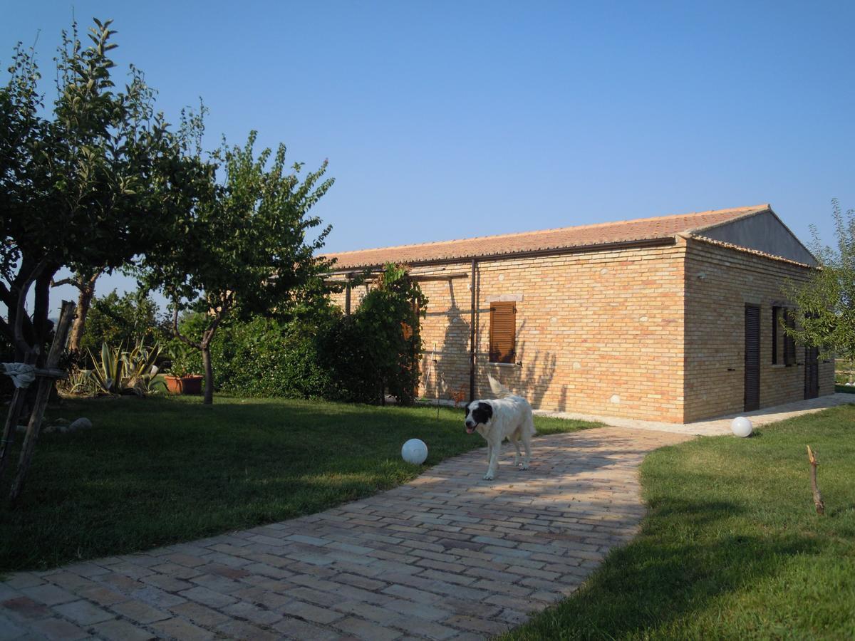 Agriturismo Piccolo Albero Loreto Aprutino Buitenkant foto